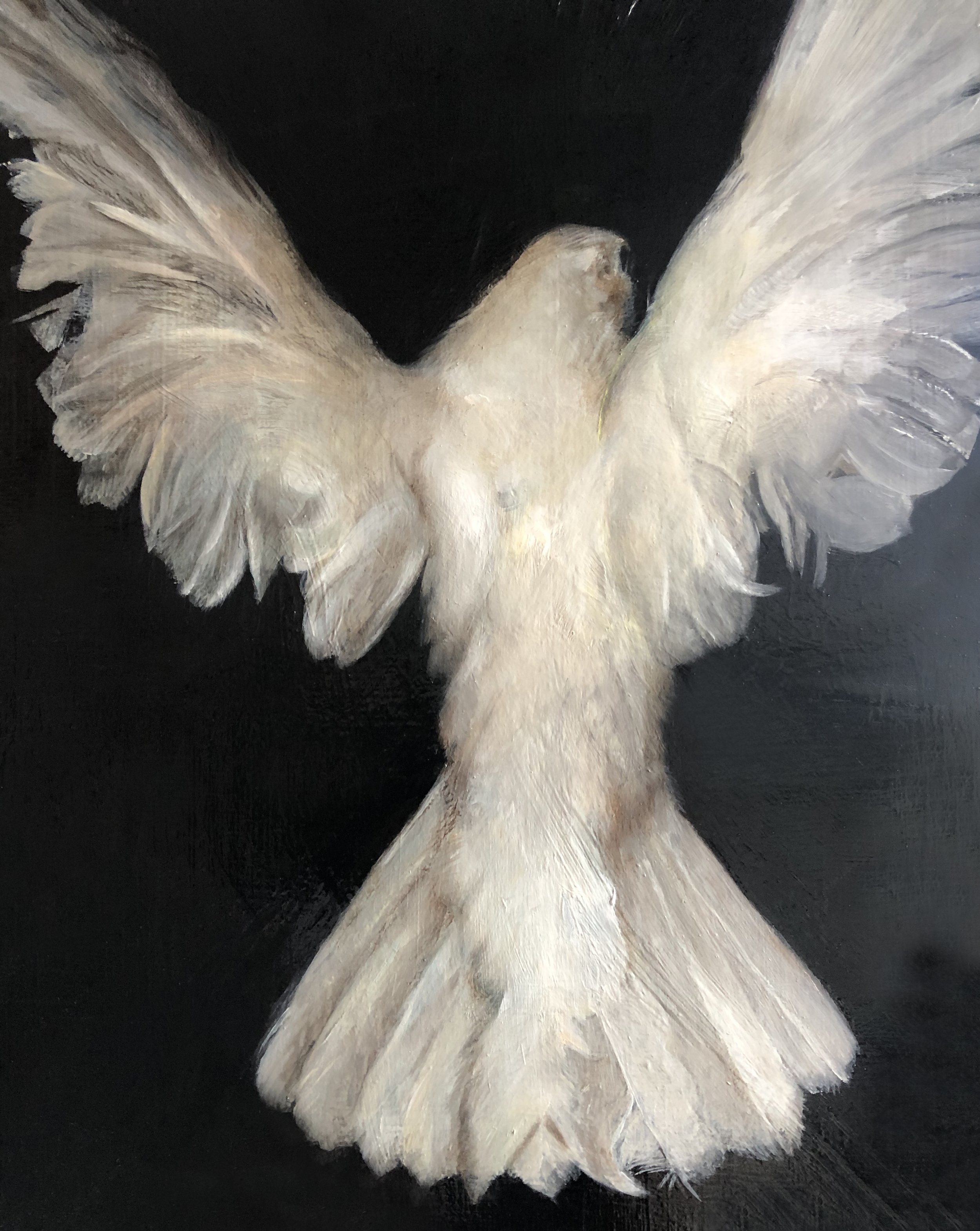 "Peace Flight" oil on board