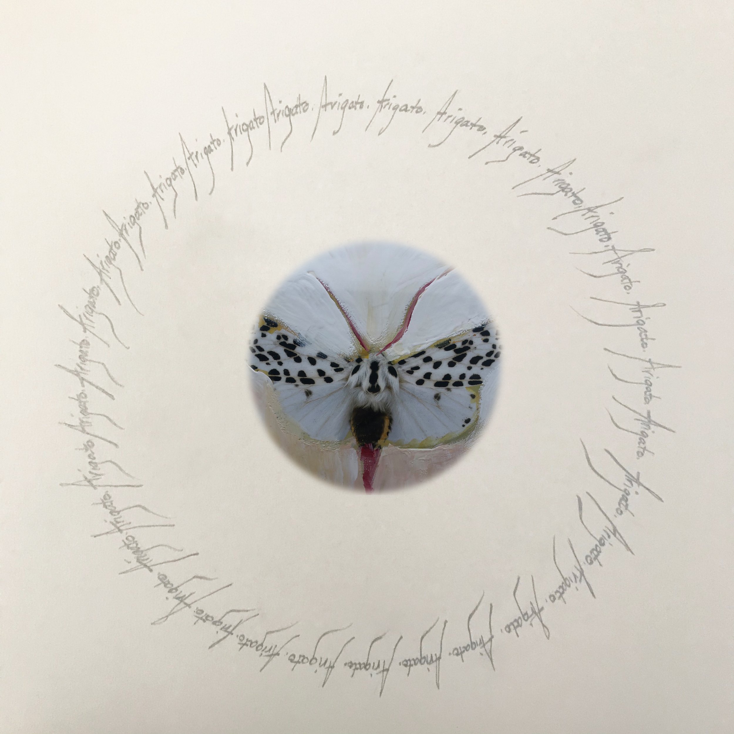 "Moth of gratitude" arigato in silver ink with painted moth